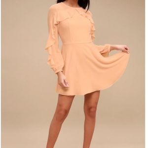 Long Sleeve Skater Dress - PEACH Color